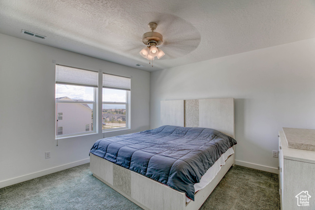 Photo 18 for MLS #2088775 at 7776 S Iron Core Ln