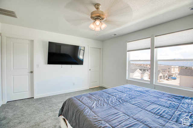 Photo 21 for MLS #2088775 at 7776 S Iron Core Ln