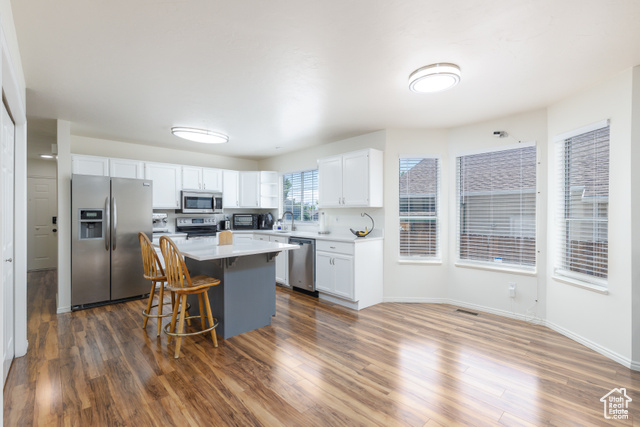 Photo 7 for MLS #2088848 at 1199 E Pheasant View Dr