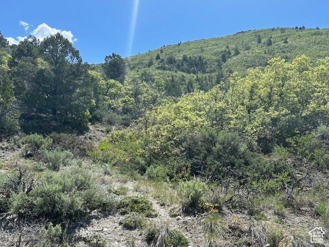 , Indianola UT 84629