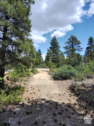 38  BLOCK H FIR RD, Orderville UT 84758