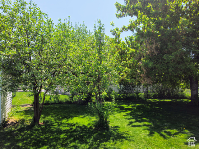 Photo 9 for MLS #2089082 at 719 Adams St