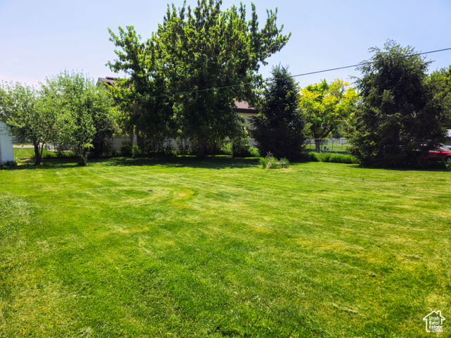 Photo 10 for MLS #2089082 at 719 Adams St