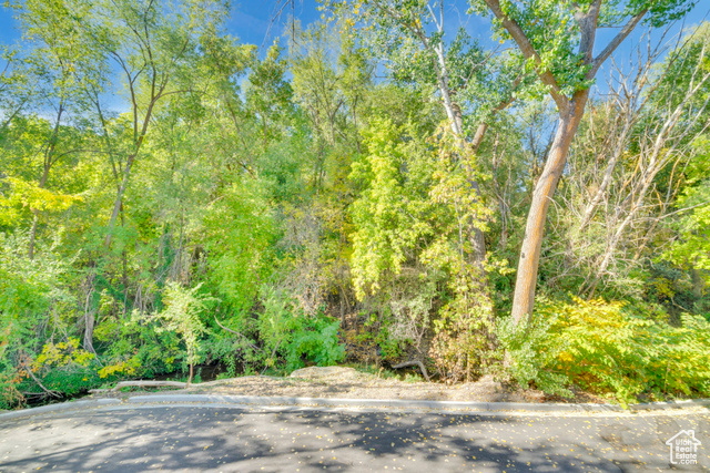 Photo 19 for MLS #2089146 at 4022 S Burch Creek Way
