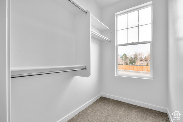 Photo 10 for MLS #2089218 at 746 W Signal Dr