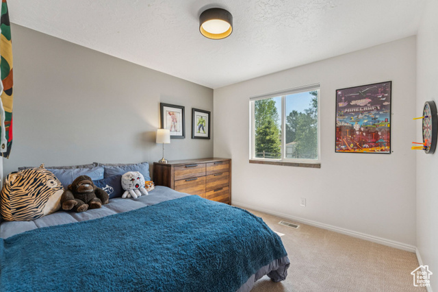 Photo 34 for MLS #2089260 at 7850 Wasatch Way