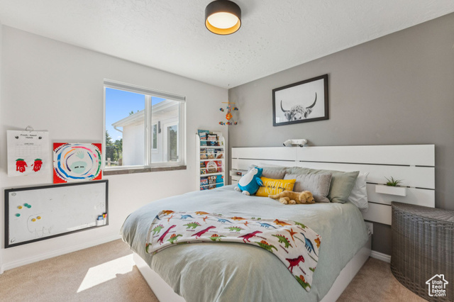 Photo 31 for MLS #2089260 at 7850 Wasatch Way