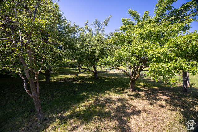 Photo 21 for MLS #2089635 at 8765 S 300 West