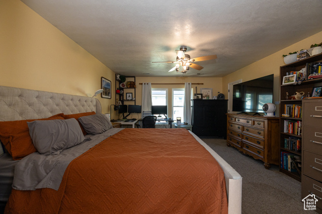Photo 24 for MLS #2089682 at 1250 N Lewis Peak Dr