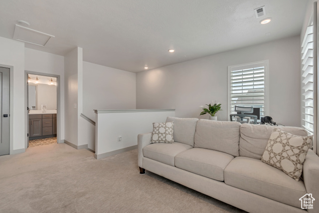 Photo 28 for MLS #2089740 at 11579 S Pebble Pond Rd