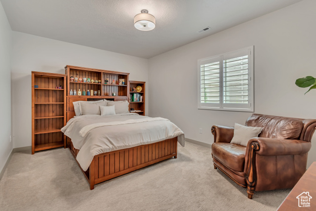 Photo 44 for MLS #2089740 at 11579 S Pebble Pond Rd