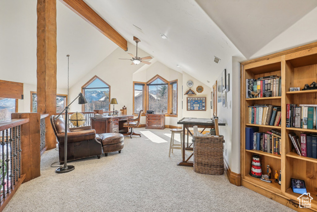 Photo 36 for MLS #2089759 at 3239 Mountain Top Ln