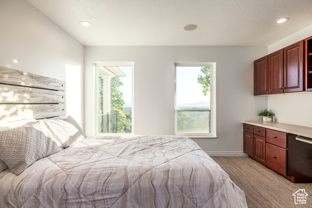 Photo 35 for MLS #2089779 at 1559 E Oak Cliff Dr