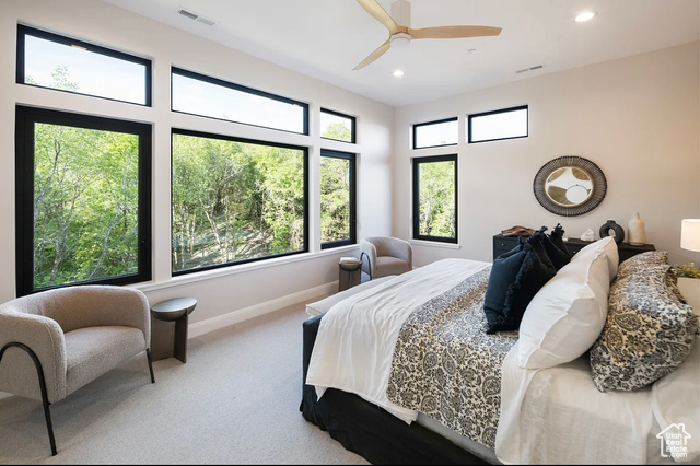 Photo 18 for MLS #2089831 at 1040 S Summit Creek Dr