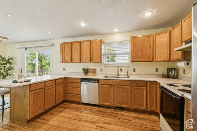 Photo 11 for MLS #2089849 at 8962 S Altair Dr