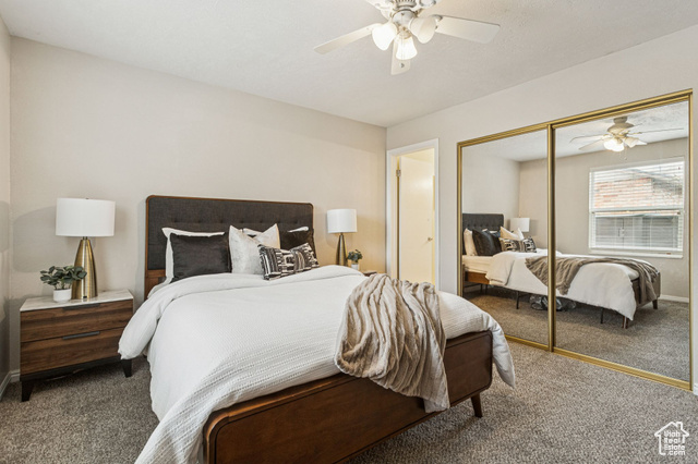 Photo 13 for MLS #2089849 at 8962 S Altair Dr