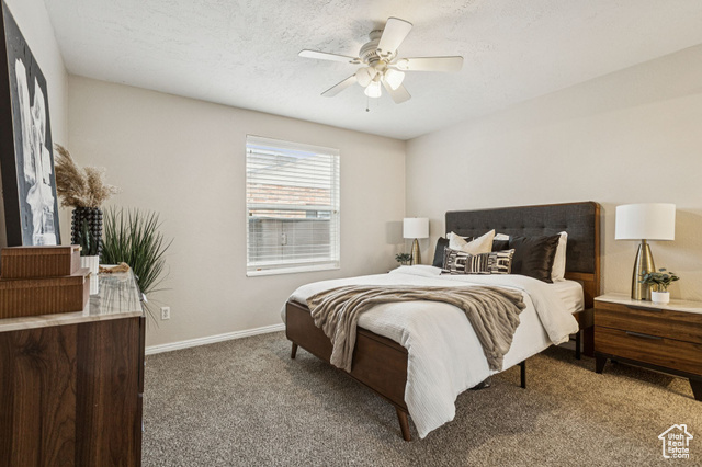Photo 12 for MLS #2089849 at 8962 S Altair Dr