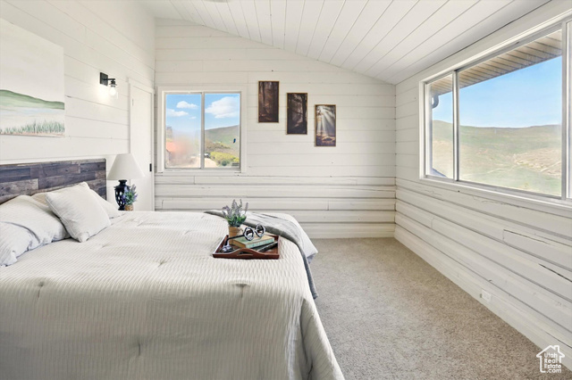 Photo 12 for MLS #2090094 at 4075 S Juniper