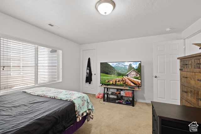 Photo 61 for MLS #2090144 at 6165 W Haven Ridge Way