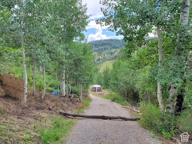 102  BROOKS CANYON RD, Fairview UT 84629