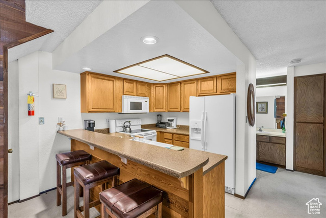 Photo 8 for MLS #2090305 at 407 S Vasels Rd #27