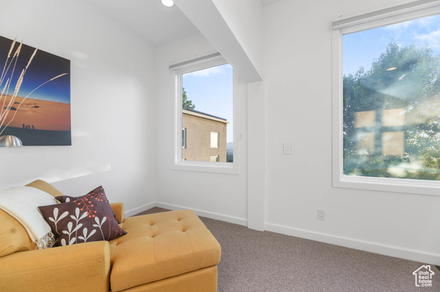Photo 35 for MLS #2090381 at 2093 S Lakeline Dr