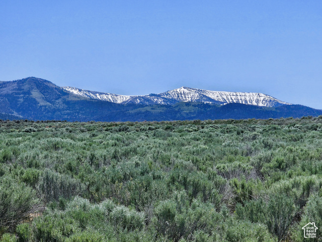 1  PINE CREEK RD, Mt Pleasant UT 84647