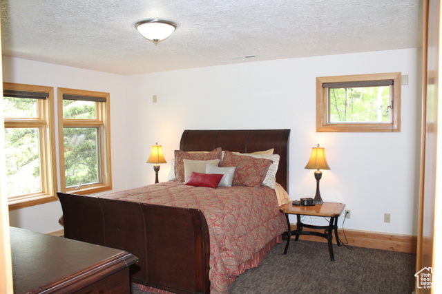 Photo 46 for MLS #2090495 at 45 W Twin Creeks Rd