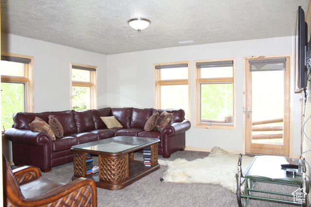 Photo 43 for MLS #2090495 at 45 W Twin Creeks Rd
