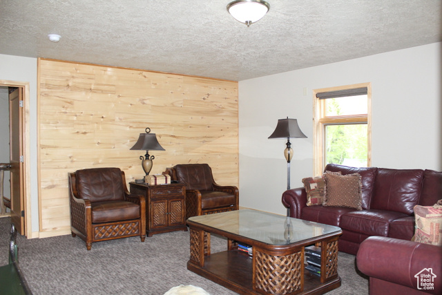 Photo 44 for MLS #2090495 at 45 W Twin Creeks Rd