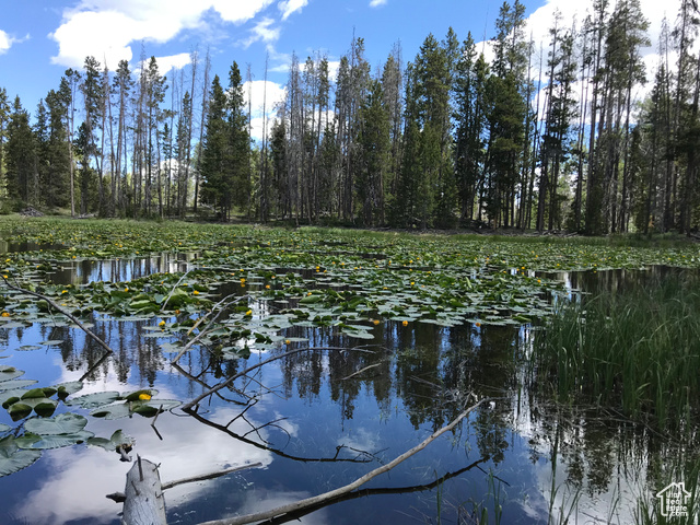 2045  STILLWATER LOOP, Kamas UT 84036