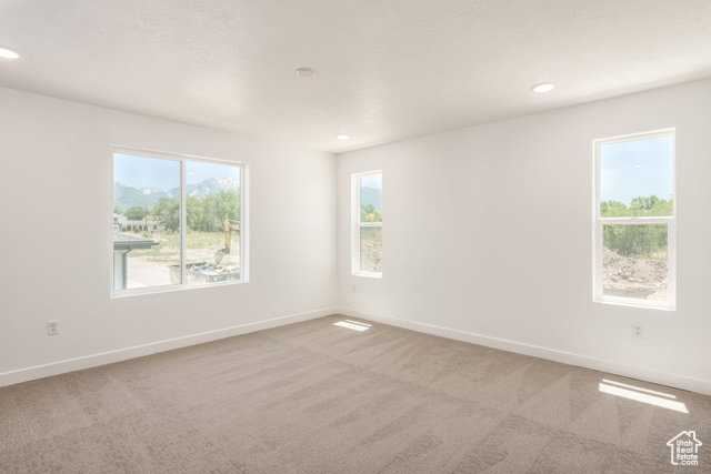 Photo 9 for MLS #2090607 at 903 W Bullion St