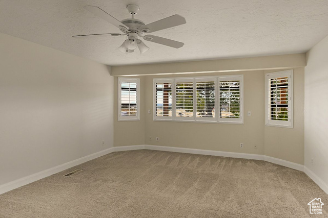 Photo 19 for MLS #2090636 at 397 N Wendy Dr