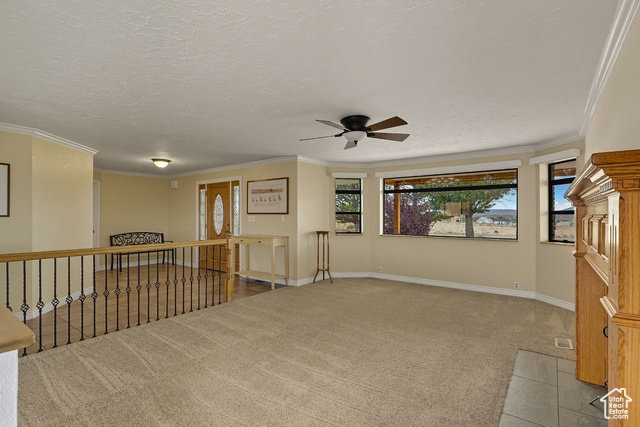 Photo 11 for MLS #2090636 at 397 N Wendy Dr
