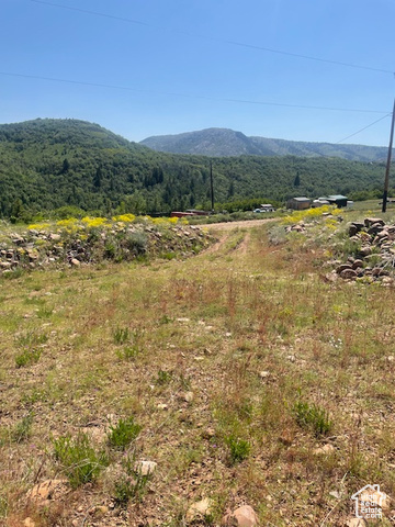 2090638.jpg