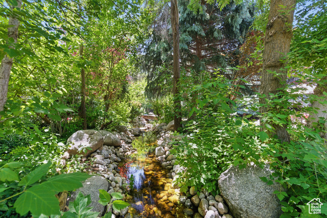 Photo 82 for MLS #2090699 at 10280 S Dimple Dell Rd