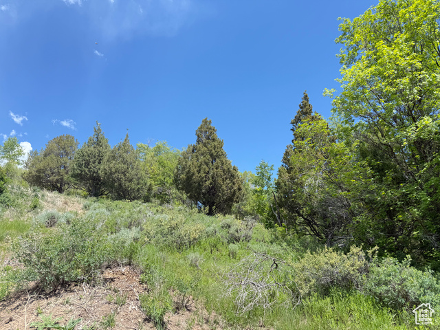 1361 Swan Creek Rd 5