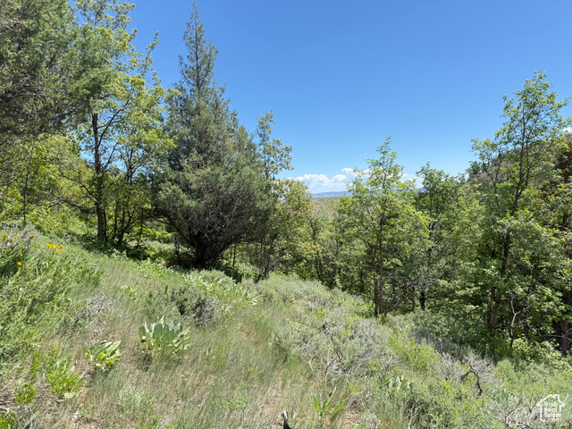 1361 Swan Creek Rd 5