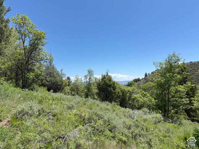 1361 Swan Creek Rd 5