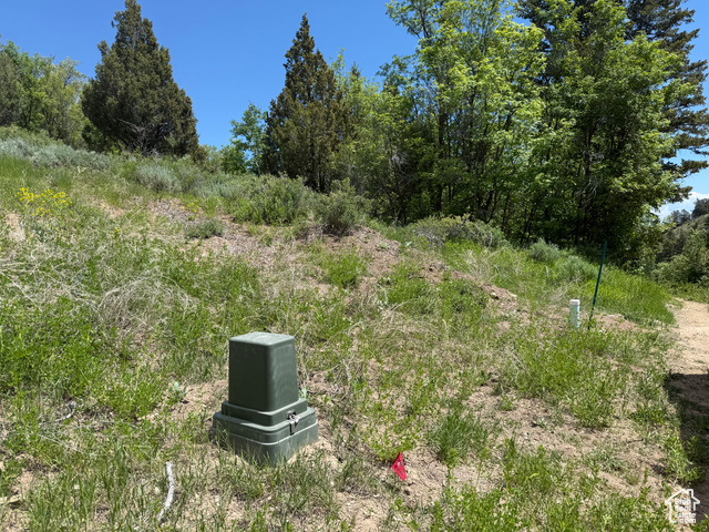 1361 Swan Creek Rd 5