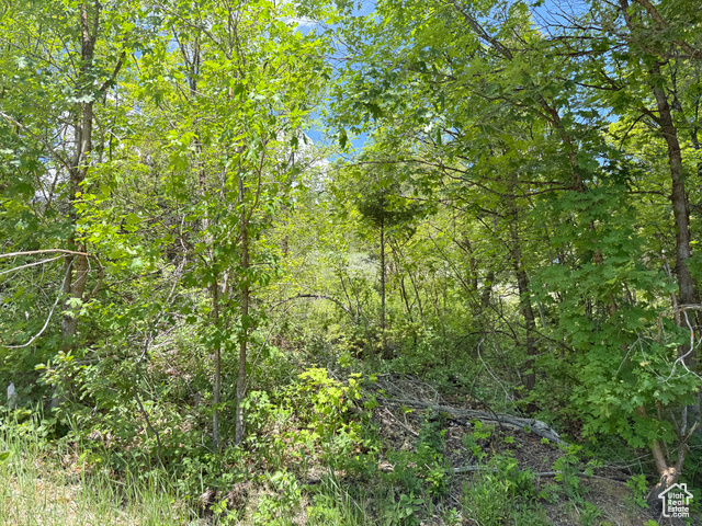 1361  SWAN CREEK RD, Garden City UT 84028