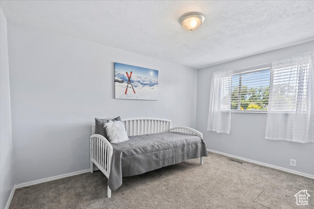 Photo 15 for MLS #2091278 at 495 E Mary Rose Dr