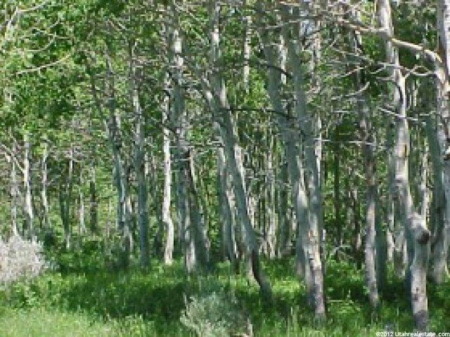 5 Wolf Creek #5, Kamas, UT 84036 — photo 4