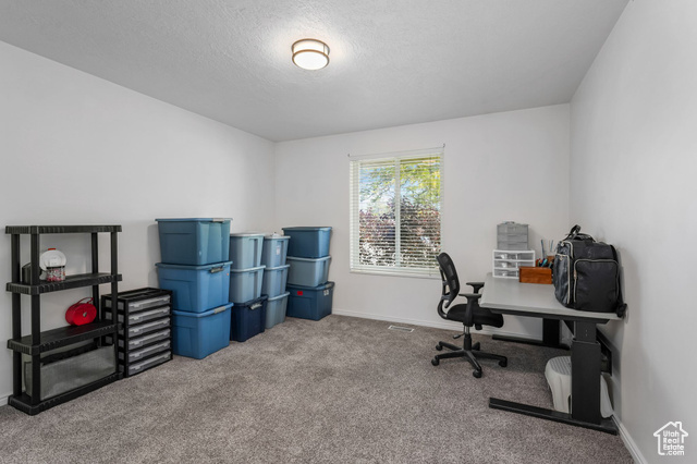 Photo 21 for MLS #2091561 at 5077 W 11000 North