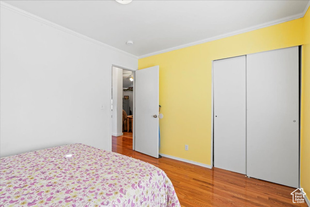 Photo 18 for MLS #2091587 at 868 E Valley View Dr
