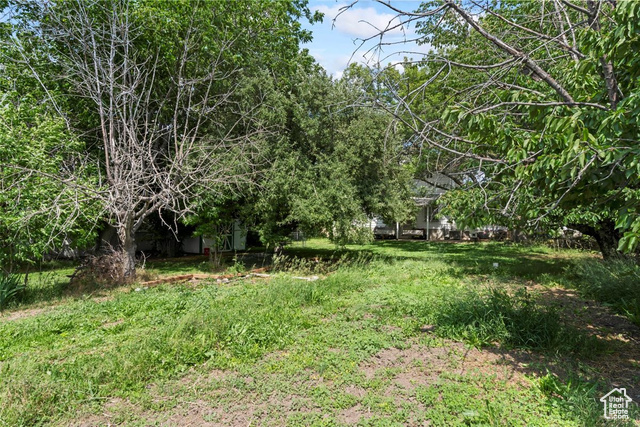 Photo 45 for MLS #2091608 at 220 S Coleman St