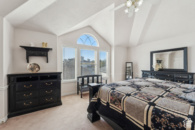 Photo 42 for MLS #2091697 at 11694 S Stone Crest Cir