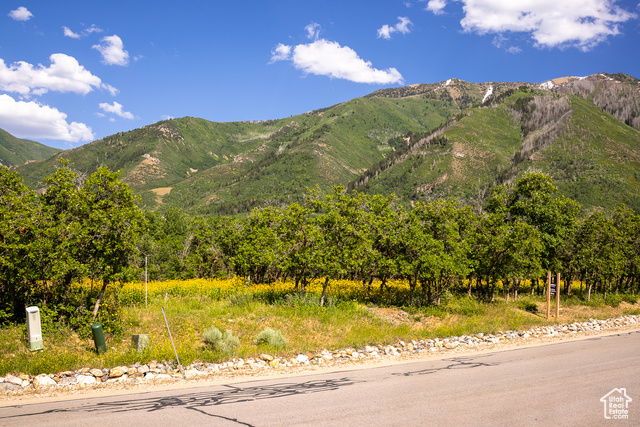 963 S SUMMIT DR, Woodland Hills UT 84653