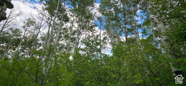 Photo 9 for MLS #2091828 at 11 Tabby Rd #11