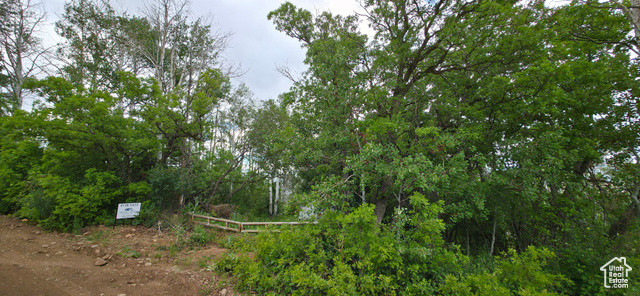 Photo 5 for MLS #2091828 at 11 Tabby Rd #11